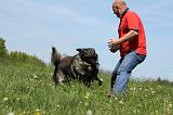 ADULTE ET CHIEN 165